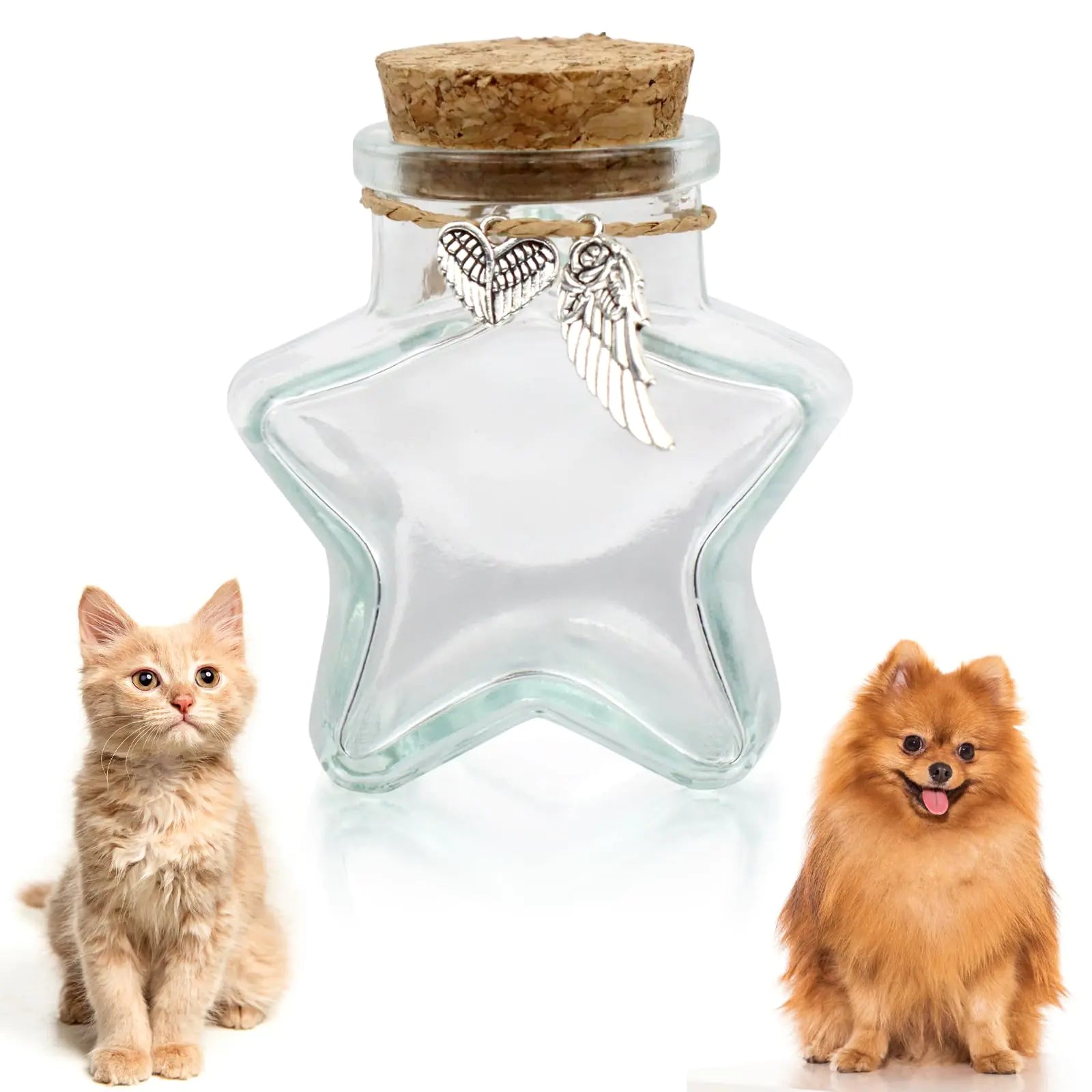 COSOWO Memorial Bottle for Pet Hair Dogs & Cats Fur Memorial Glass Keepsake with 2 Silver Accessories Pet Memorial Urn Star Shape